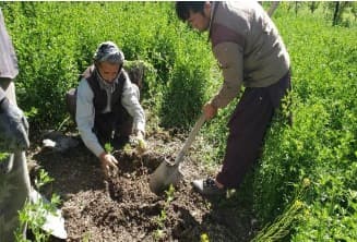 Agriculture & Irrigation image 2
